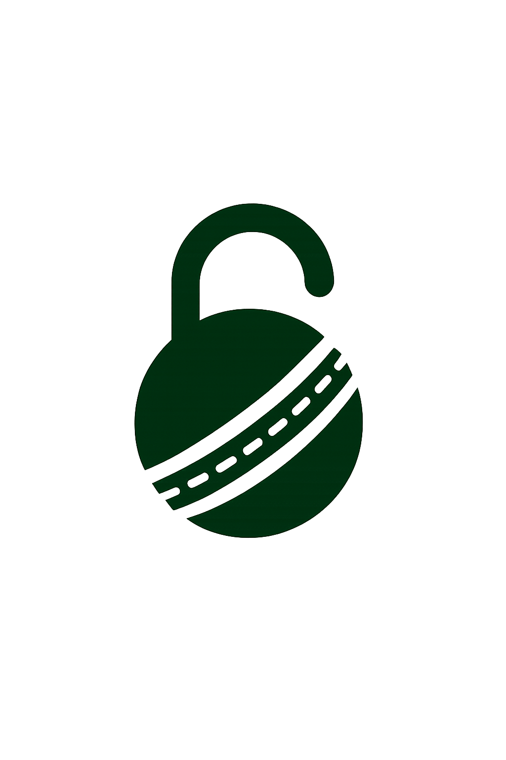 Cricket Strategyzer