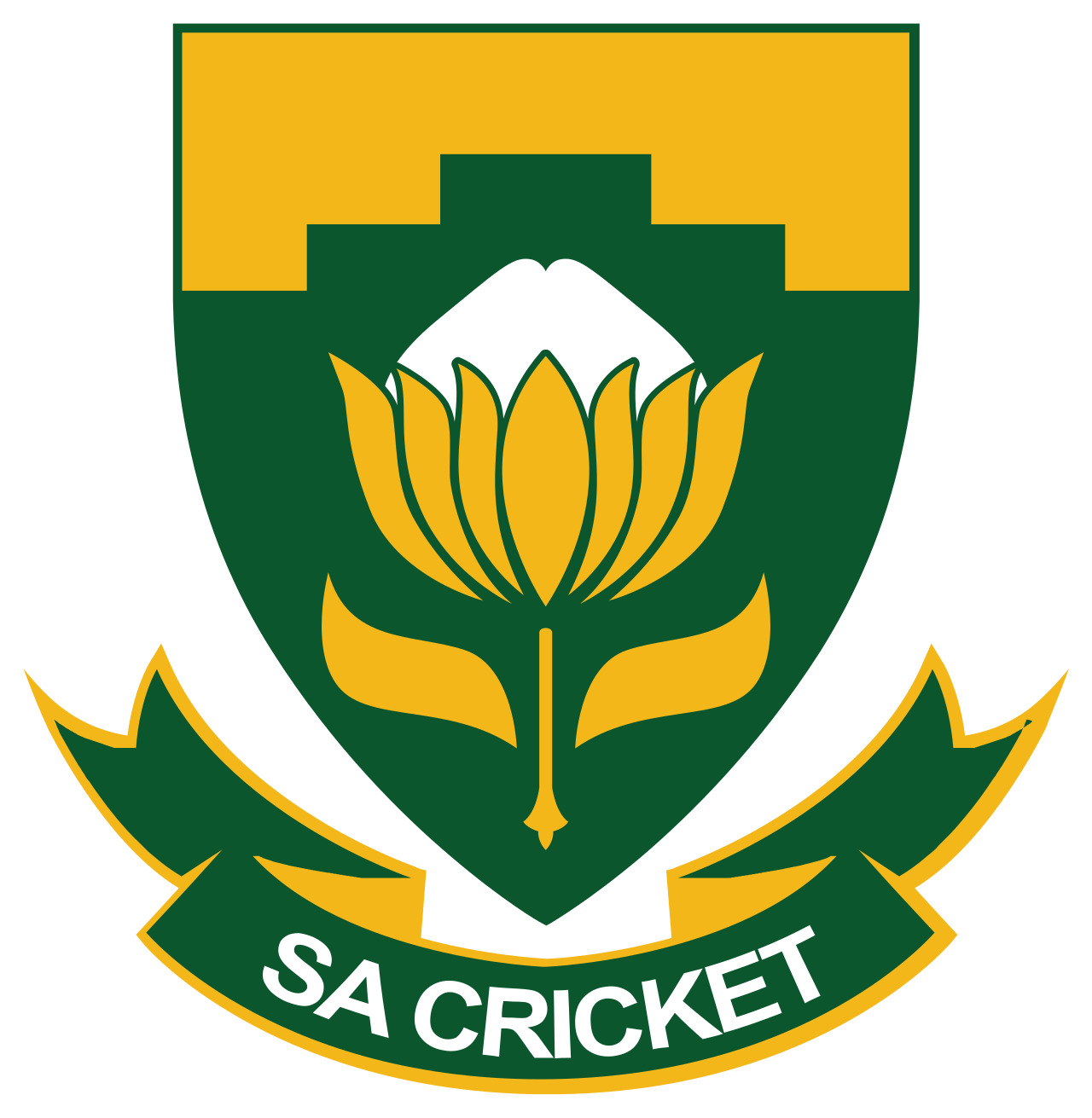 Cricket South Africa
